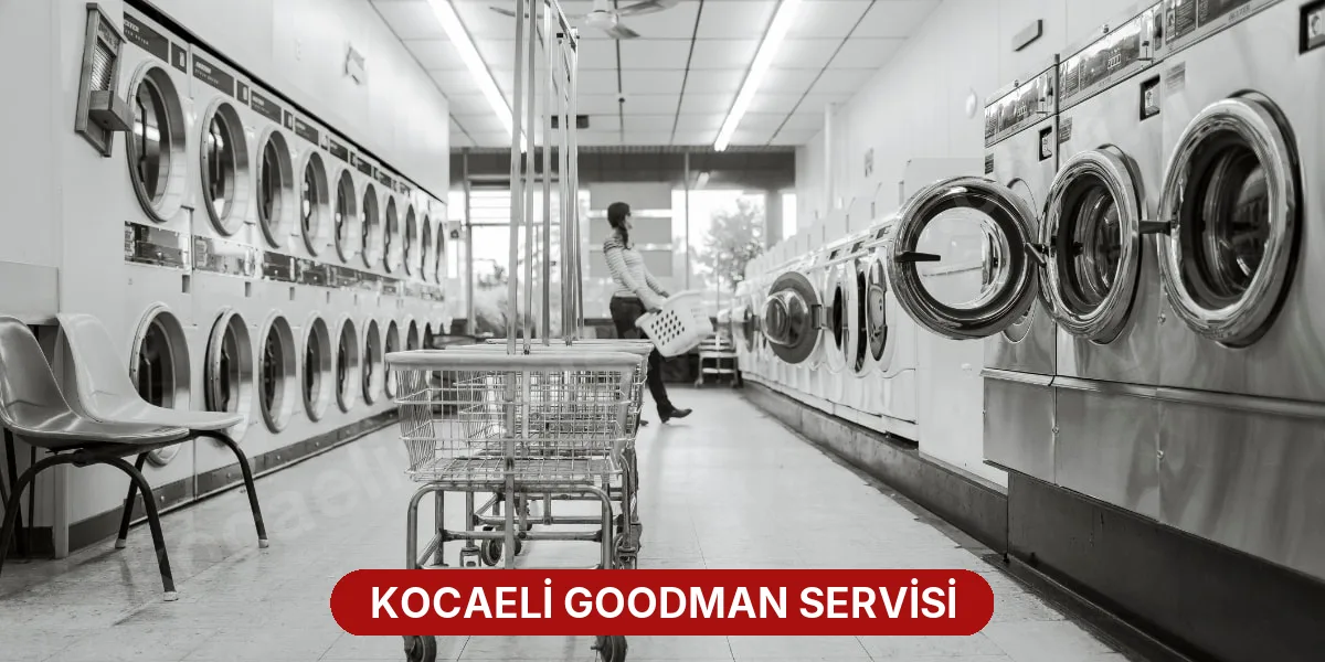 Kocaeli Goodman Servisi