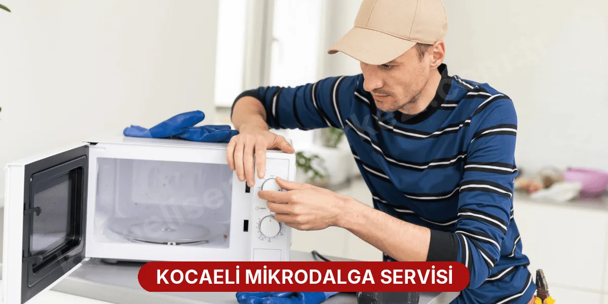 Kocaeli Mikrodalga Servisi
